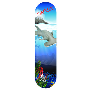 뉴 느루 스케이트보드 데크-망치상어 이상이프로모델